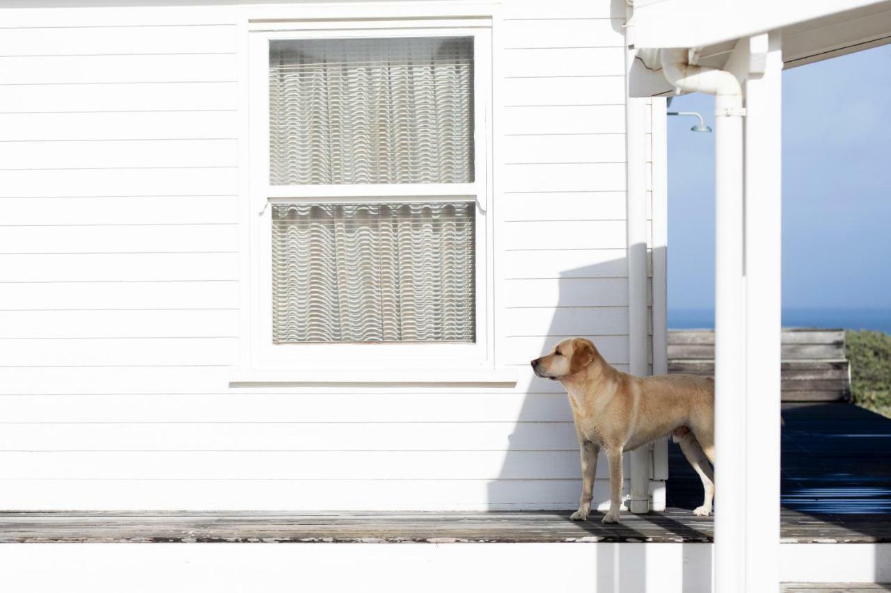 Pearl Bay Beach Home 이제르폰테인 외부 사진